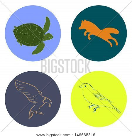 Four animals in the form of logo turtle, fox, eagle, nightingale