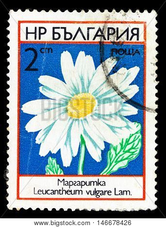 Bulgaria - Circa 1985