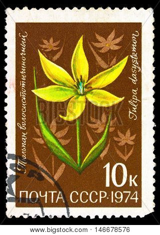 Ussr - Circa 1974