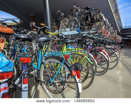 Lots Of Parked Bicycles