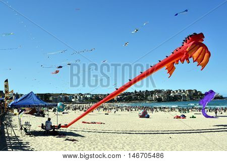 Bondi beach Sydney Australia - Sept 11 2016. Kite flyers and tourists attend the annual kite flying festival at Bondi Beach Sydney. Festival of the Winds.