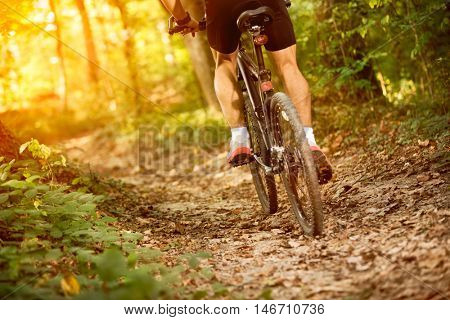 Extreme mountain bike sport athlete man riding outdoors lifestyle trail