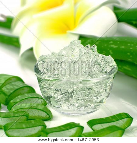 Pure Aloe Vera gel on aloe vera leaves and plumeria background. Aloe Vera gel almost use in food medicine and beauty industry.