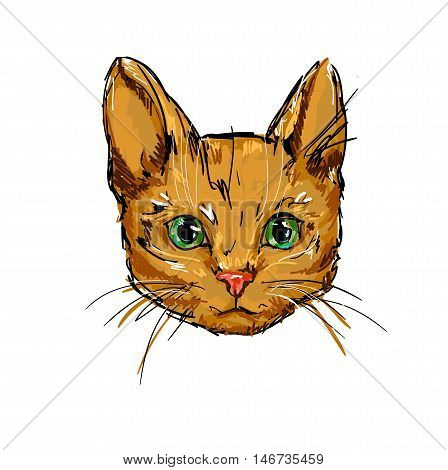 Red-headed cat, cat vector illustration,  kitten vector
