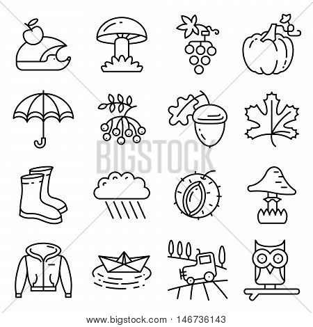 Fall season line art thin and simply icons set. Web pictograms with autumn and crop objects as mushrooms rainy cloud paper boat in a pool field landscape with tractor leaves rowan berries grape chestnut acorn gumboots owl and hedgehog pumpkin