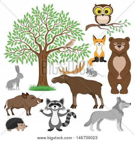 Forest animals. Bird, owl, fox, bear, rabbit, mouse, elk, pig, wolf, hedgehog, raccoon and tree.