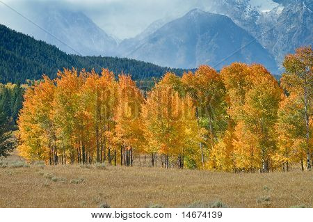 Tetons แกรนด์ในฤดูใบไม้ร่วง