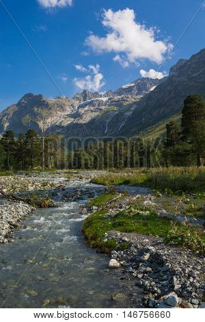 forest in mountain with green grass and blue sky with clouds