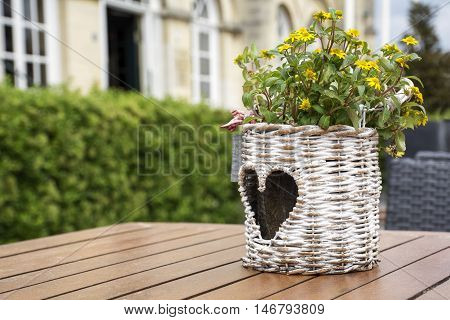 Wicker flowerpot with heart-shape pattern with yellow flowers is standing on the table in the street restaurant