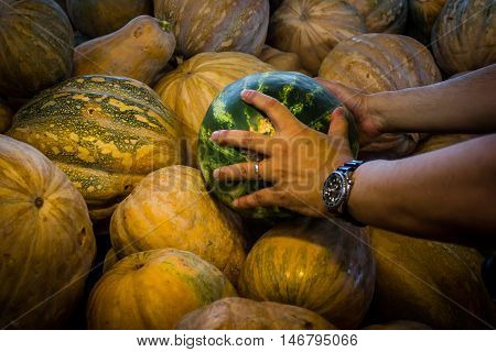 visited fruit and vegetable market Ras Al khor
