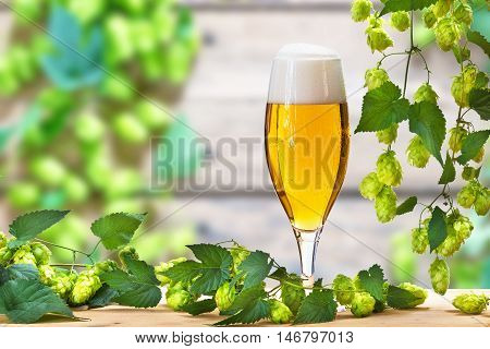 hop cones with pint on the old wooden floor