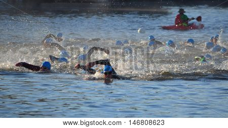 St Neots, Cambridgeshire, England - September 11, 2016: Triathlon swimmers in the river Ouse