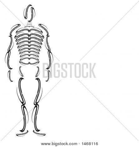 뼈 남자