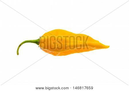 Ripe Fresh Fatalii Yellow Chili Hot Pepper With Green Stem