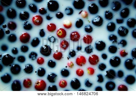 Fresh Ripe Blueberry And Cranberry Erries In Milk.