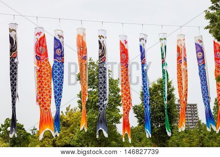 Japanese koinobori flags for Children's day on blue sky background