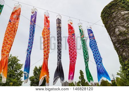 Japanese koinobori flags for Children's day on blue sky background