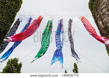 Japanese koinobori flags for Children's day on blue sky background