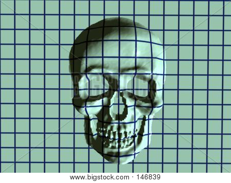 X Ray czaszki.