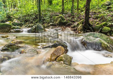 Mountain stream river in deep rain forest.