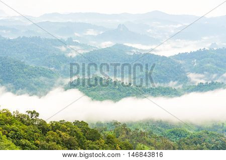 Green rain forest on mountian with mist and low cloud in morning. Umpang Thailand.