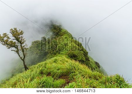 Foggy clouds cover on top of green mountain ridge.