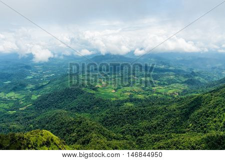 Aerial view of agricultural area in mountain valley landscape in rain forest.