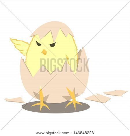 chick hatch egg leader baby chick cartoon