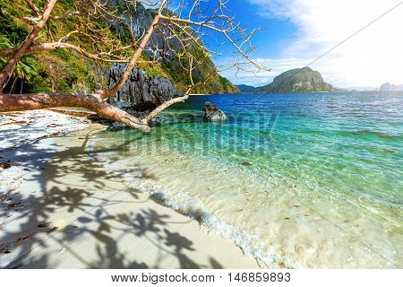 Beautiful landscape with palms, beach and sea El-nido, Palawan, Philippines