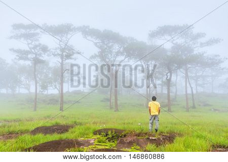 Happy young man is relaxing and enjoying morning mist in forest before sunrise. Bolaven plateau Southern of LAOS