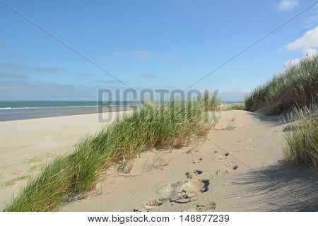 Beautiful Sand Dunes
