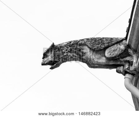 Beautiful Animal Gargoyle On Medieval Church
