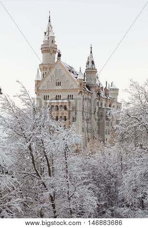 Neuschwanstein Castle in winter landscape in Germany