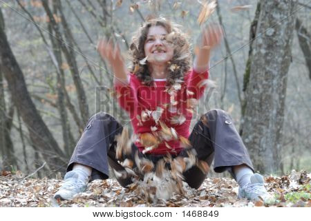 ใบไม้ร่วง