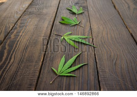 Leaves of cannabis on dark wooden surface. Hemp products. Agricultural technical culture. Close-up