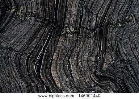 Chinese Black Wooden Vein Marble abstract background