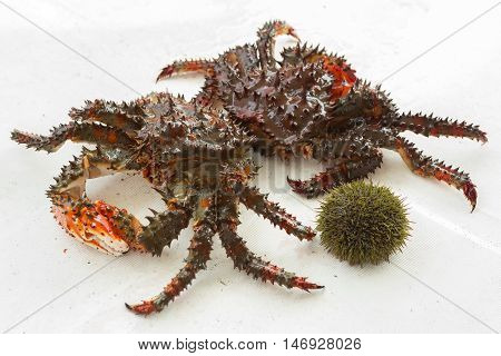 Freshly-Speared Kamchatka crabs and sea urchins on the deck of the yacht.