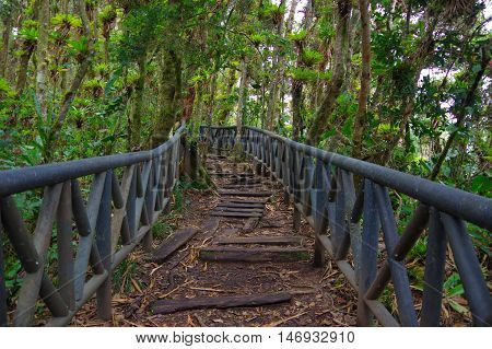 PASTO, COLOMBIA - JULY 3, 2016: small road surrounded by a lot of trees located in la cotora island in la cocha lake.