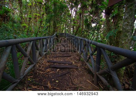PASTO, COLOMBIA - JULY 3, 2016: la cotora island is a small national park located in la cocha lake.
