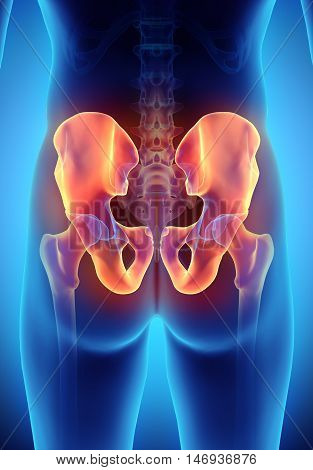 3D Illustration Of Pelvis, Medical Concept.