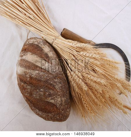 bunch of mown wheat ears with vintage handmade reaper hook sickle and rye dark french fresh bread loaf on white linen tablecloth