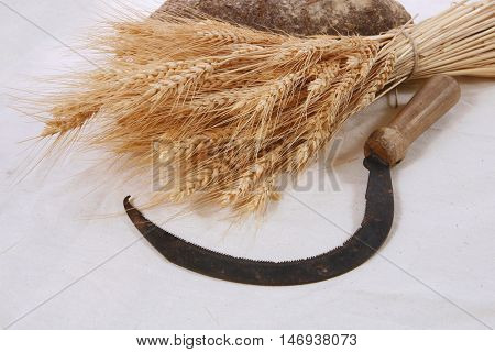 bunch of mown wheat ears with vintage handmade reaper hook sickle and rye dark french fresh bread loaf on white linen tablecloth