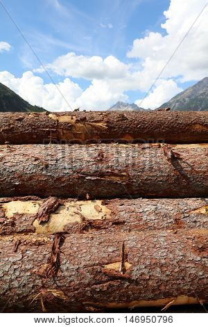 Pile of Wood in Lechtal Valley. Tirol. Austria