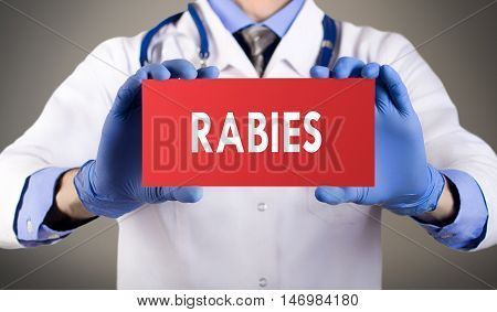 Doctor's hands in blue gloves shows the word rabies. Medical concept.