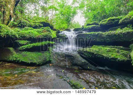 Landscape of waterfall in deep rain forest of Bolaven Plateau Champasak with green mos and small white flowers.