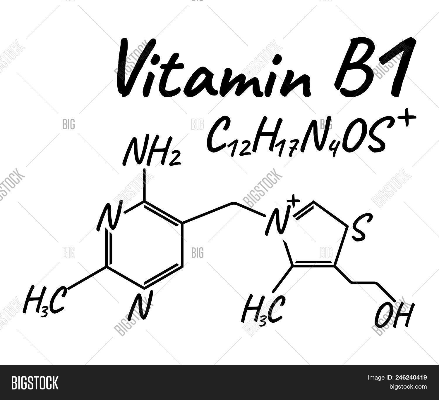 Vitamin B1 Label Icon Vector & Photo (Free Trial) Bigstock