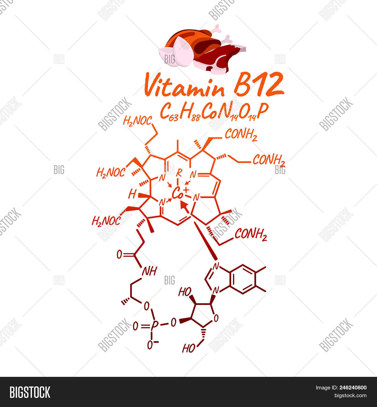 Vitamin B12 Food Vector & Photo (Free Trial) | Bigstock