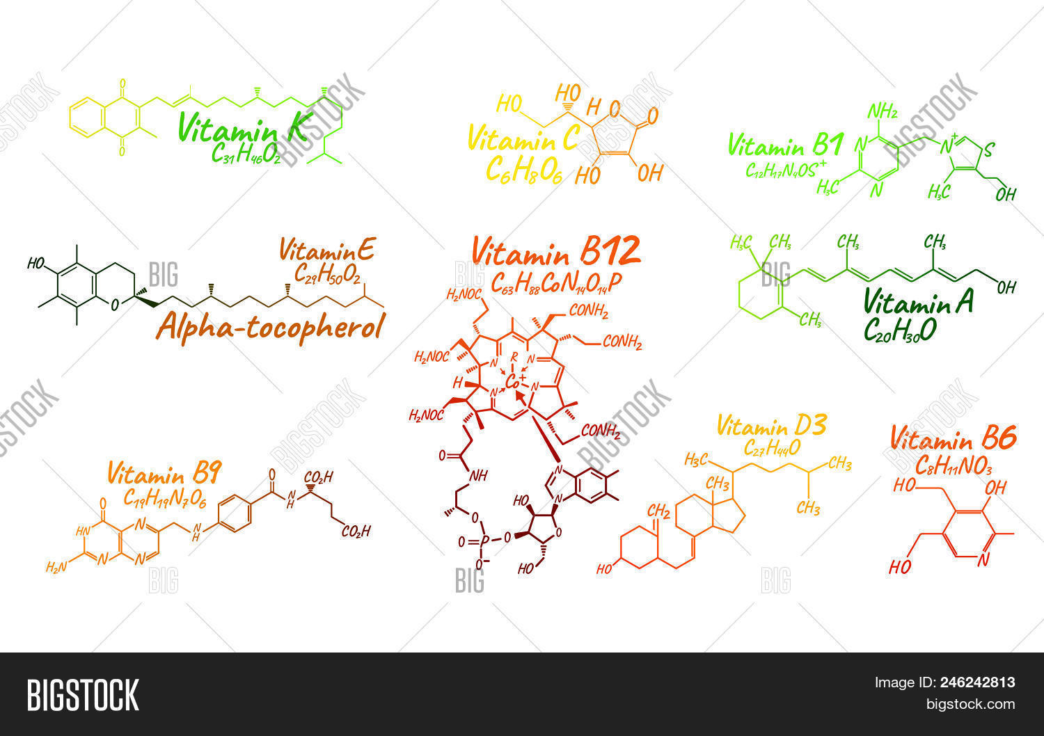 Vitamin Complex B1, Vector & Photo (Free Trial) Bigstock