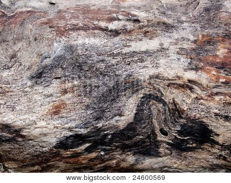 Hout,