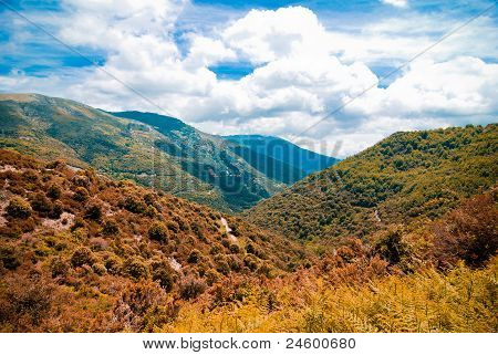 Paysage